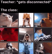 Meme 3