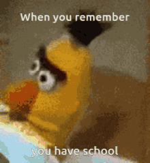 Meme 4
